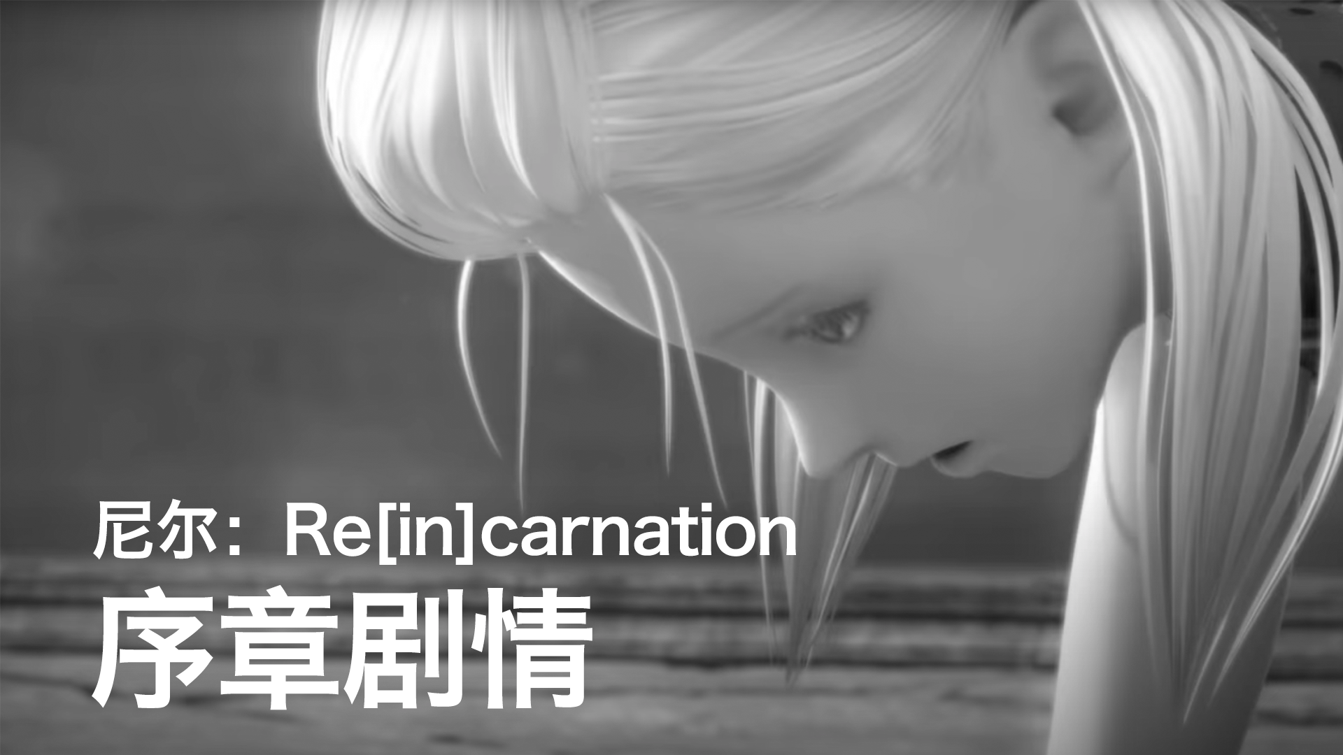 【自译熟肉】尼尔：Re[in]carnation 初见剧情 + Opening Movie「出发吧、轮回的旅程」