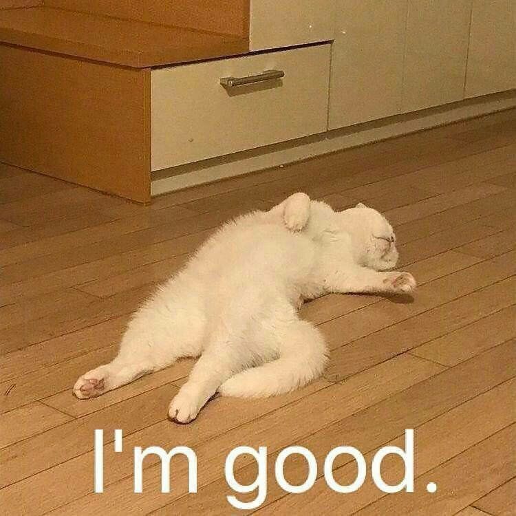 预约的古风游戏一个都没上,只能天天听timi