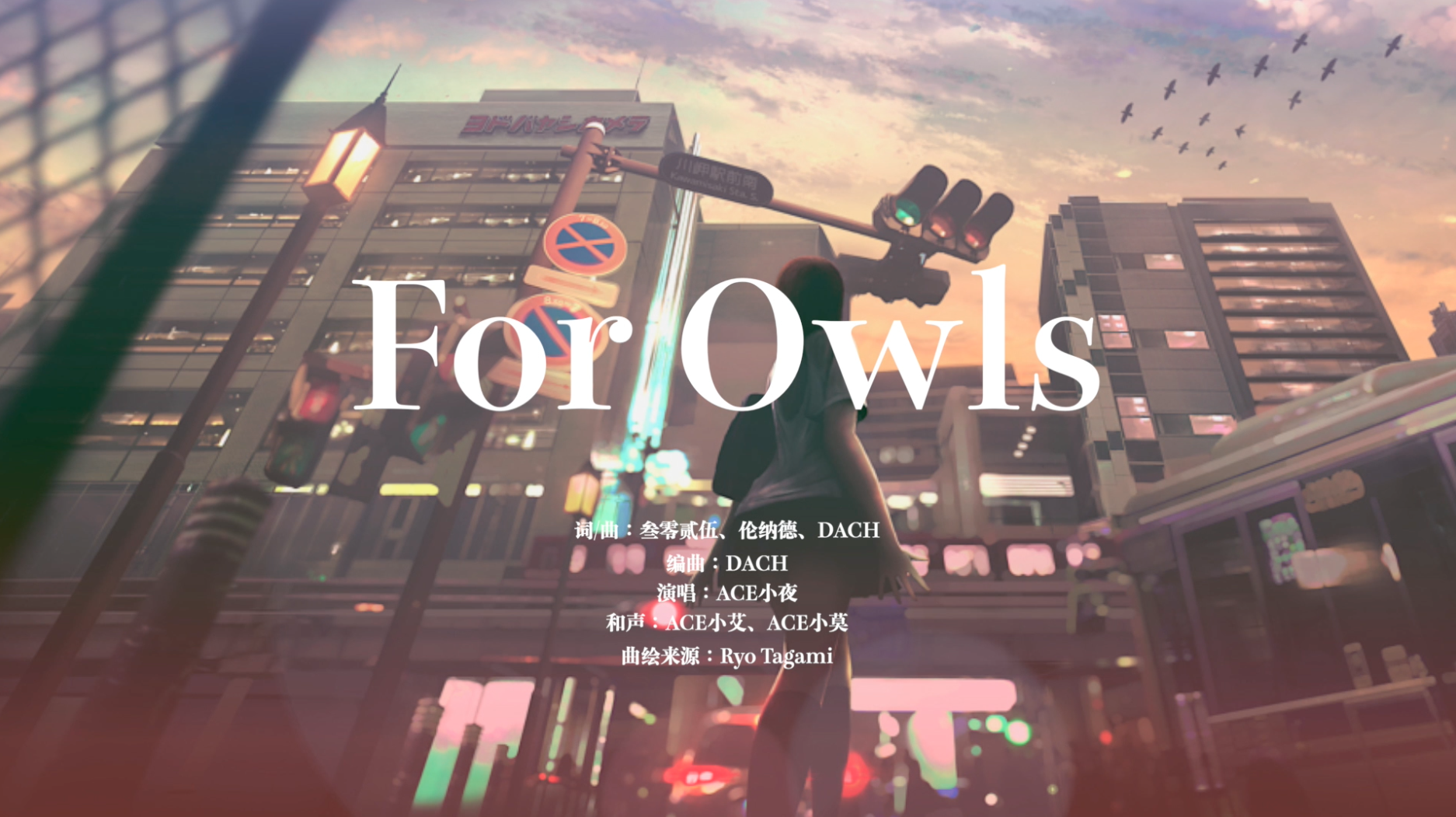 【冠军专辑】第四首《For Owls》｜小夜追寻内心之旅