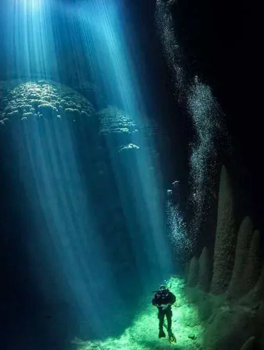 【浪的科普】你知道深海恐懼症嗎？|代號：ATLAS - 第5張