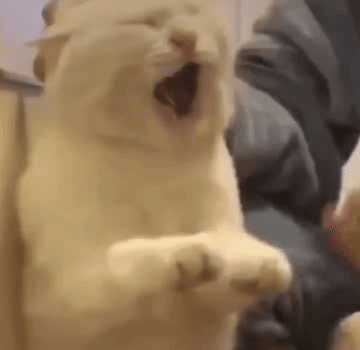 我们没那么完美，但却尽力维护好每一个玩家，生日快乐，Jaden