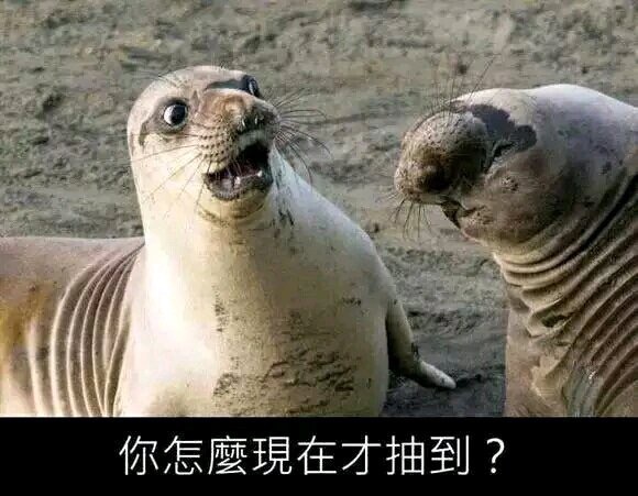 海豹骑脸怎么输?