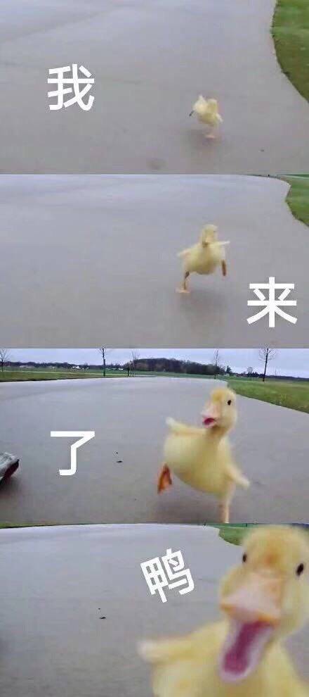 首页 奇葩战斗家 (ω)关于这个游戏(其实是水贴(ω))卑微尼尼 15楼