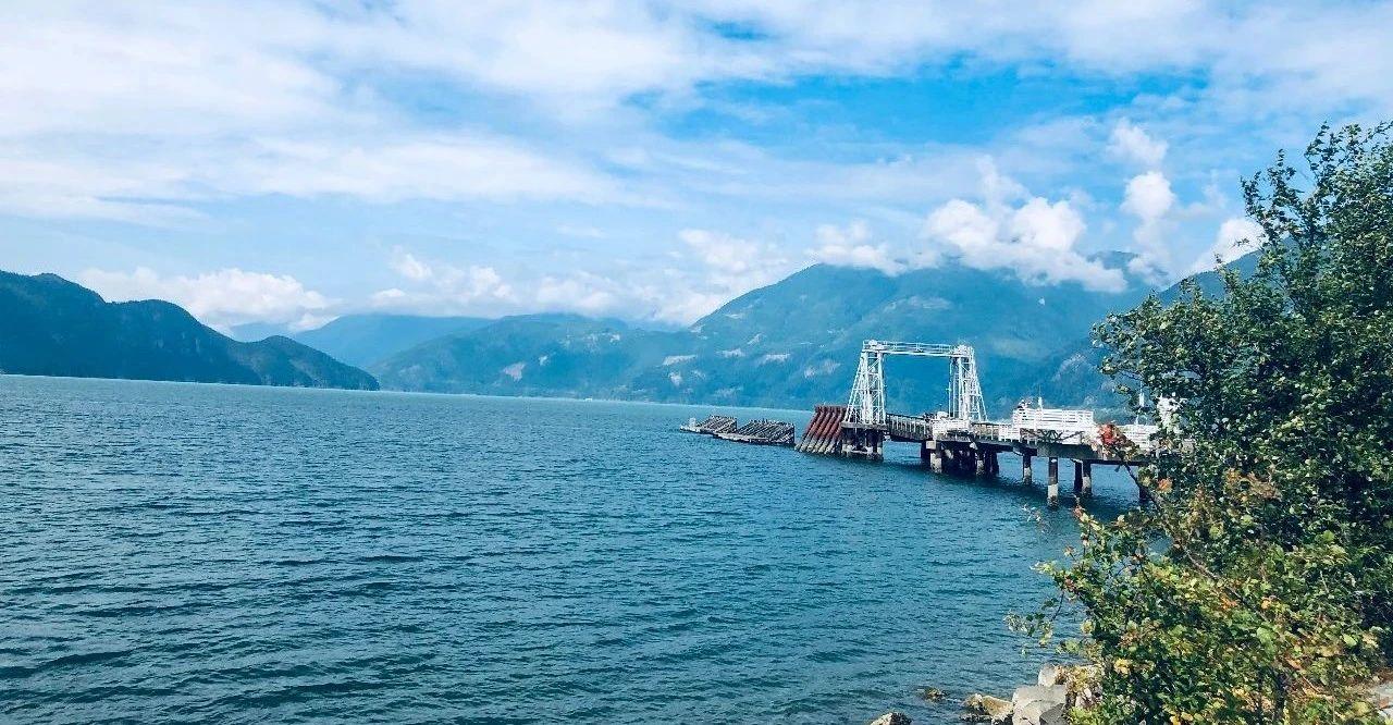 崩坏美食特辑丨布洛妮娅生日美食——绀海边的野餐篮子