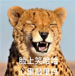 对苹果优化的真心差劲,苹果6他妈的很辣鸡?