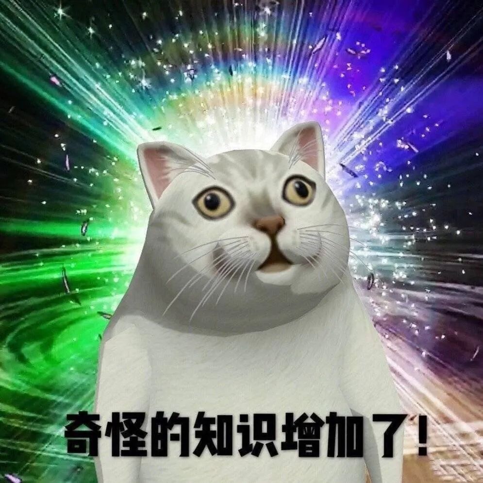 智障猫表情包图片