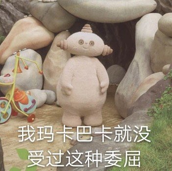 呐我说看见那些骑脸的海豹