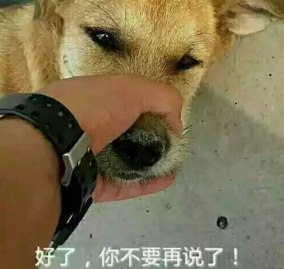 真特娘的是个人才.