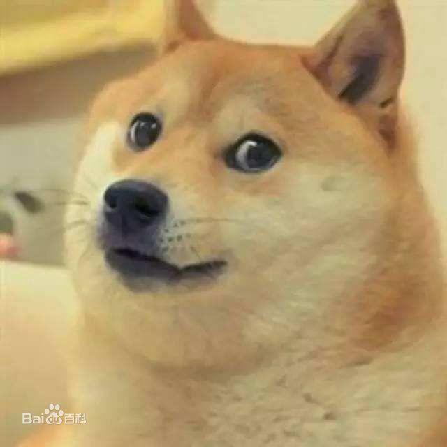 【福利】听说今天是什么什么节？