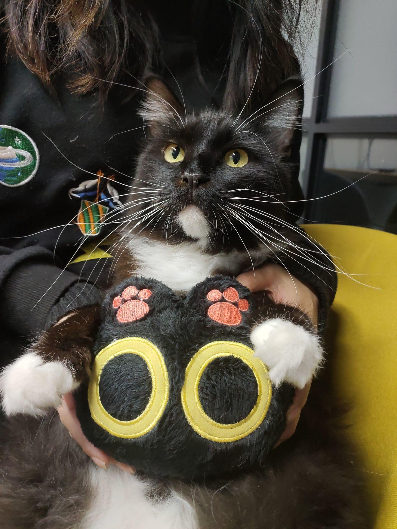 发福利了（已开奖）