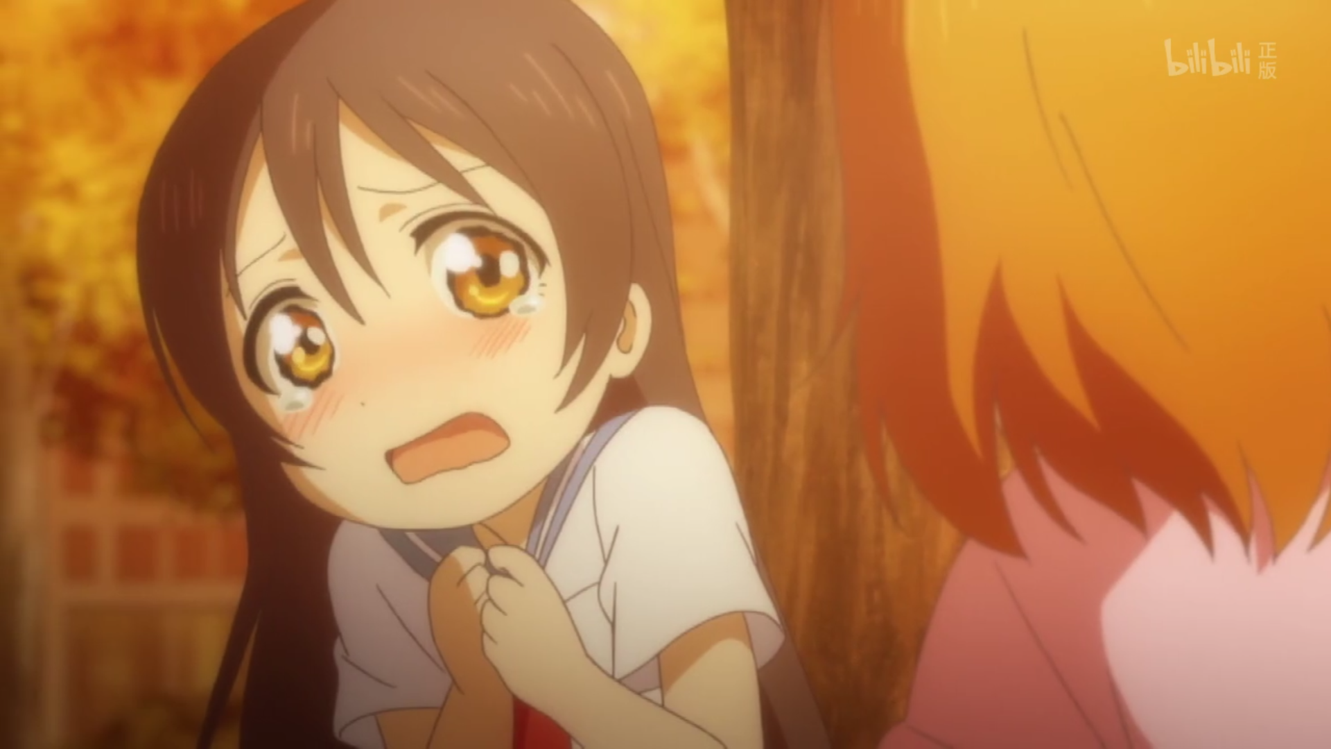 你们都完蛋了,我就放心了