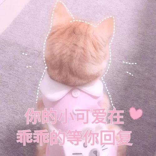 【活动贴】新分店竞猜，猜中有奖！