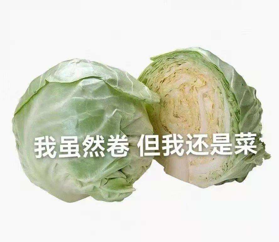 【已开奖】大鹅说，这次要整大活啦！