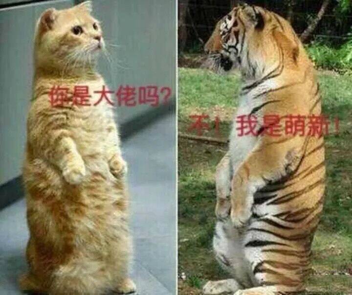 雷迪森杰特们六一节快乐