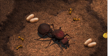 【蚁国趣闻】这座蚂蚁王国究竟有多还原？|小小蚁国 - 第9张