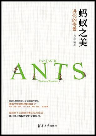 【有奖活动】第二期「蚁国共创」灵感征集活动——蚂蚁小知识|小小蚁国 - 第3张