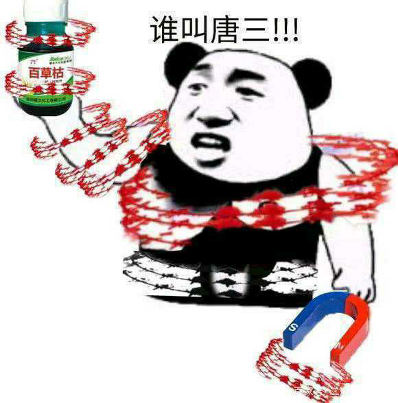 各位大佬,我玩了两周了,武魂是 兔子 熊 蓝银草 猫塔.