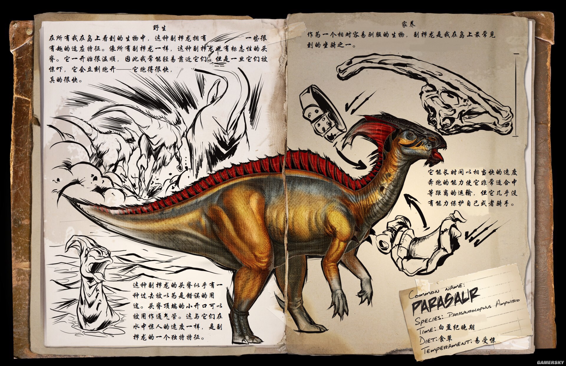 方舟恐龙图鉴中文翻译 方舟 生存进化综合 Taptap 方舟 生存进化社区