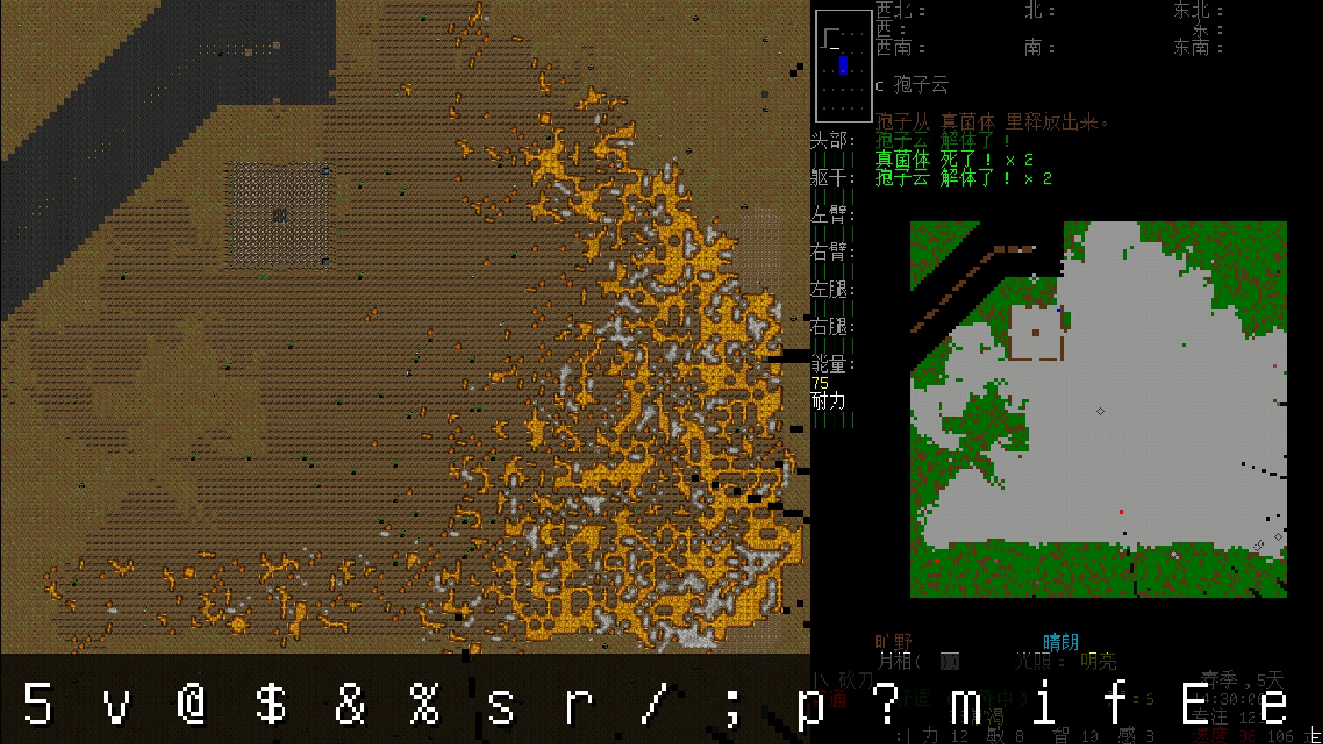 首页 大灾变:黑暗之日 我可能放了cdda世上最大的一场火.