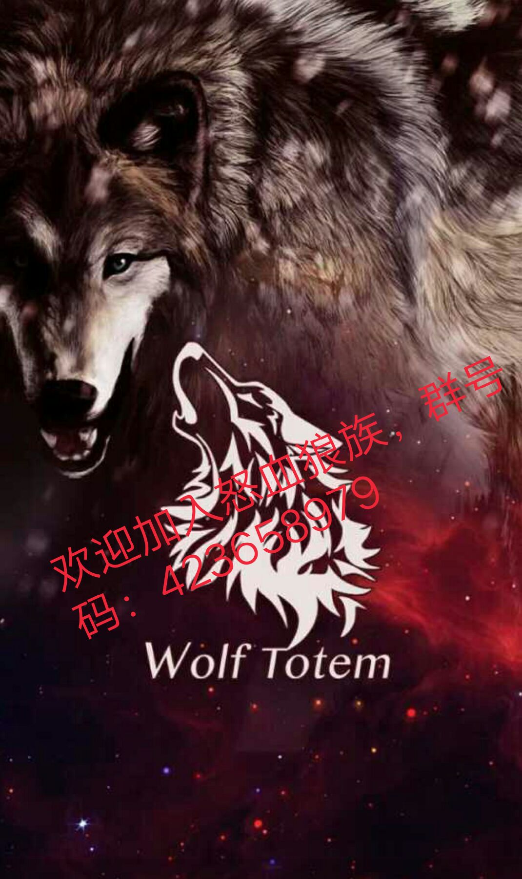 欢迎加入怒血狼族,群号码:423658979