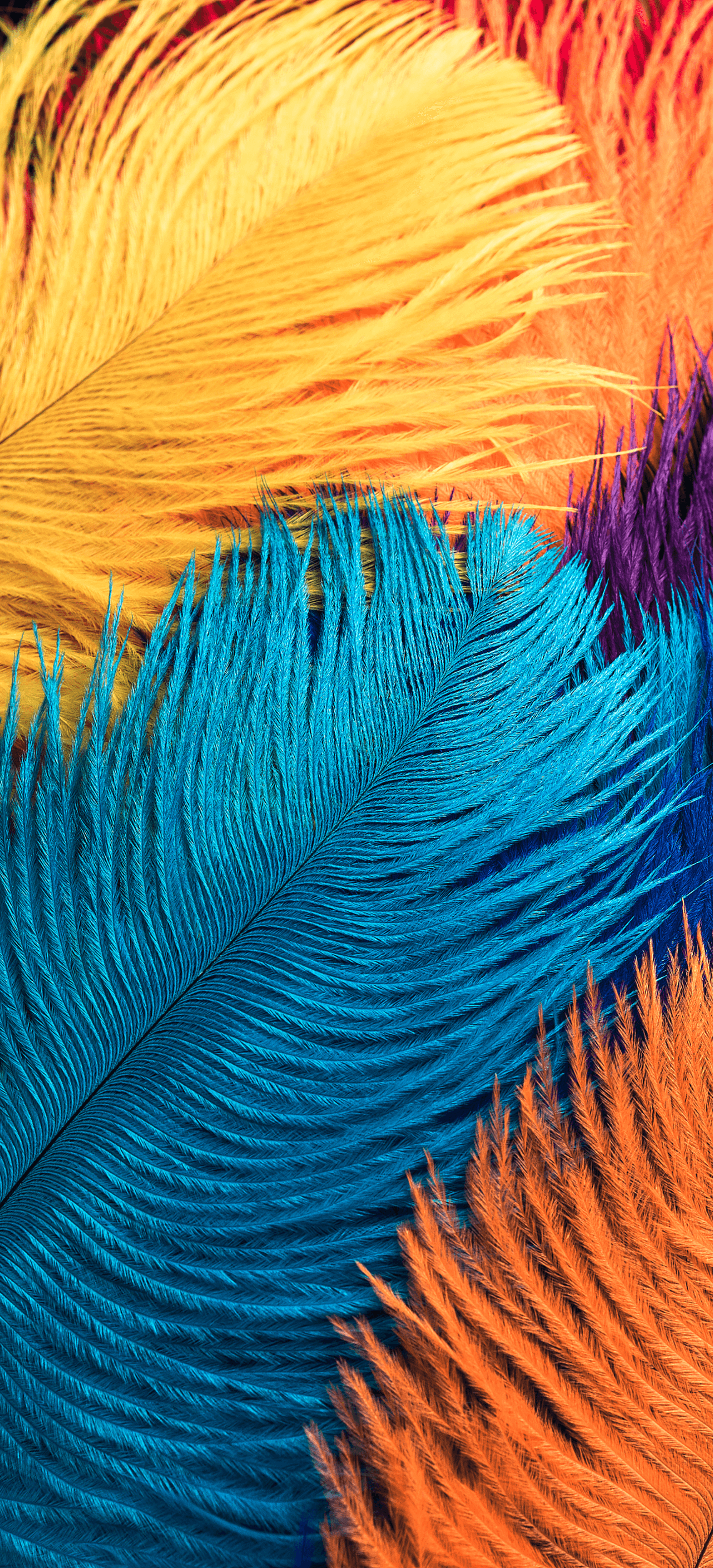 1440_3168竖版 竖屏