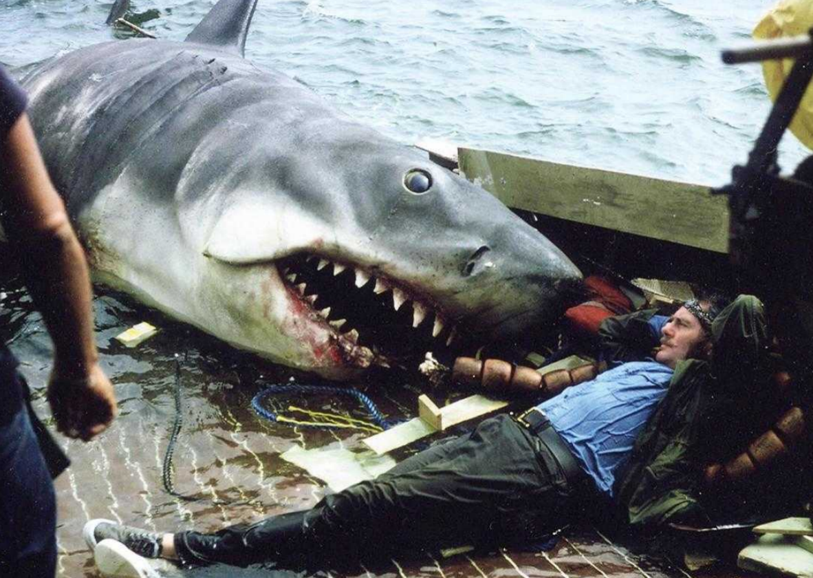 【浪的安利】童年阴影——《大白鲨》系列电影|代号：ATLAS - 第6张