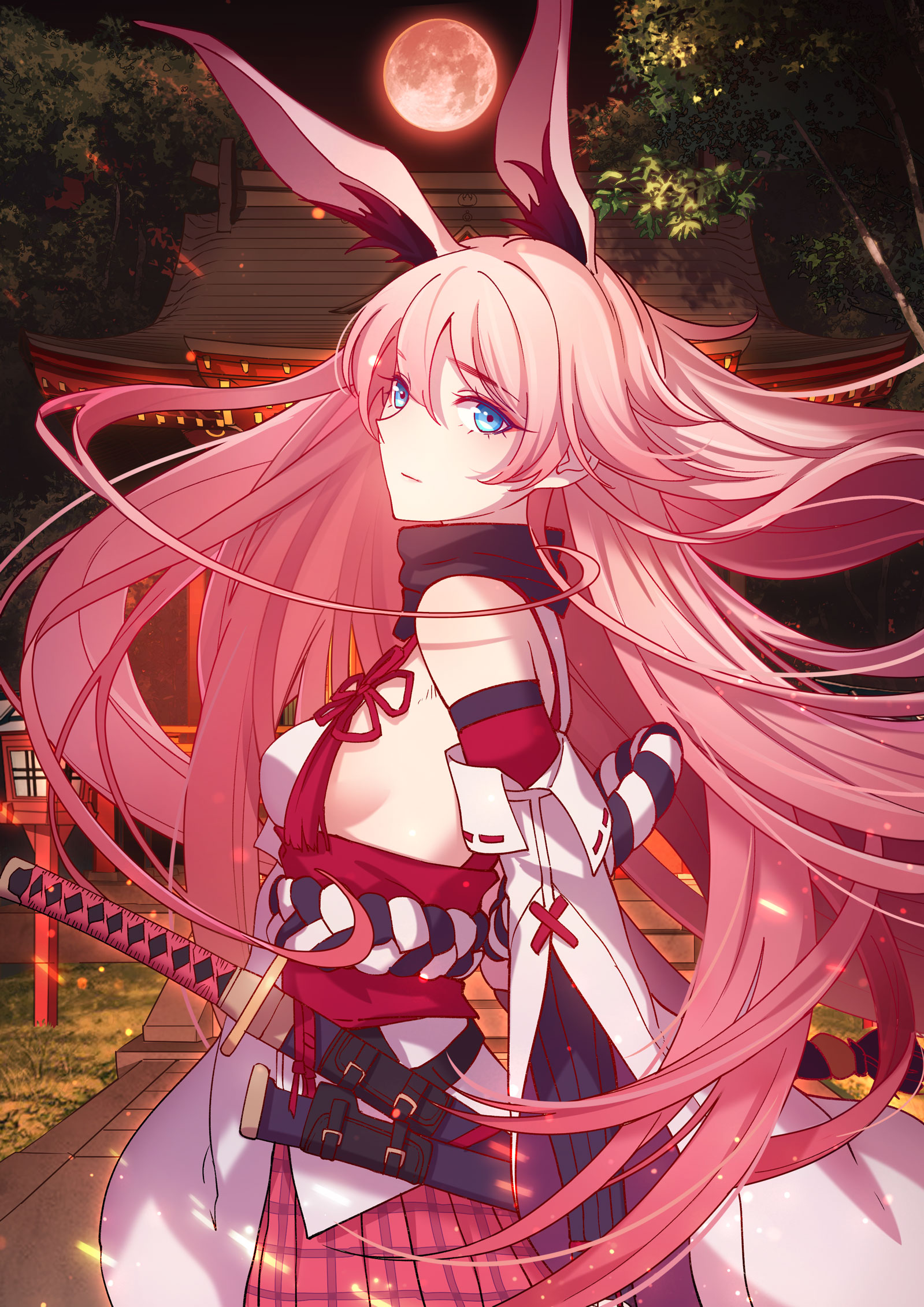 请无视这个帖子