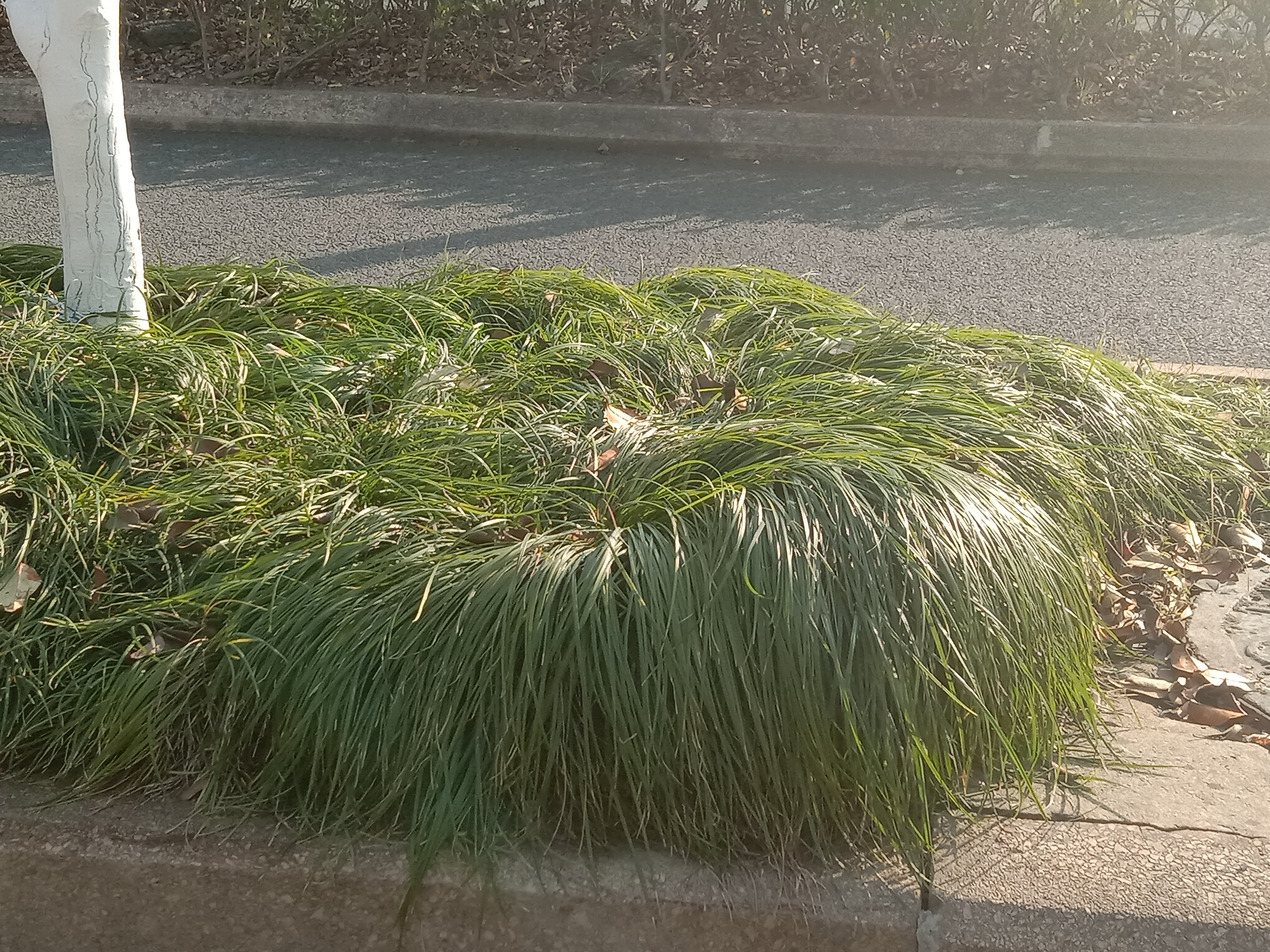 草长的都比你画的头发有层次感