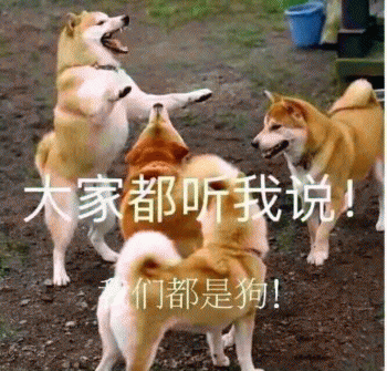 【冒泡】制作组在冲刺！冲刺！！！！！！等我们！！！