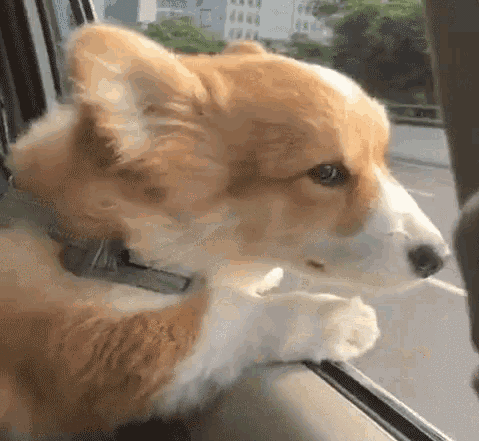 【新赛道揭秘】biu~有这样的训练场，还愁成绩不上榜？