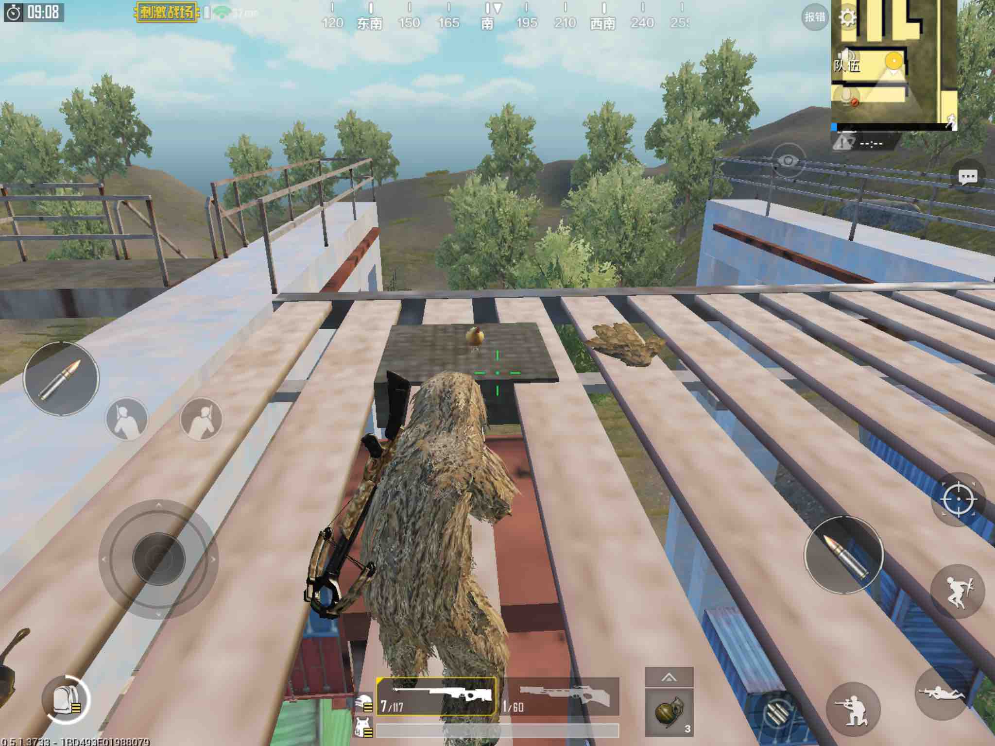 训练场的一只鸡