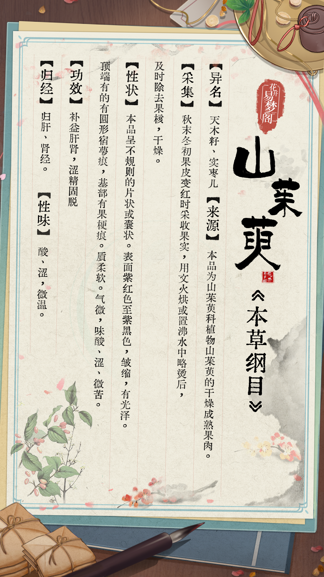 【易梦志·医馆簿】药材百科——山茱萸