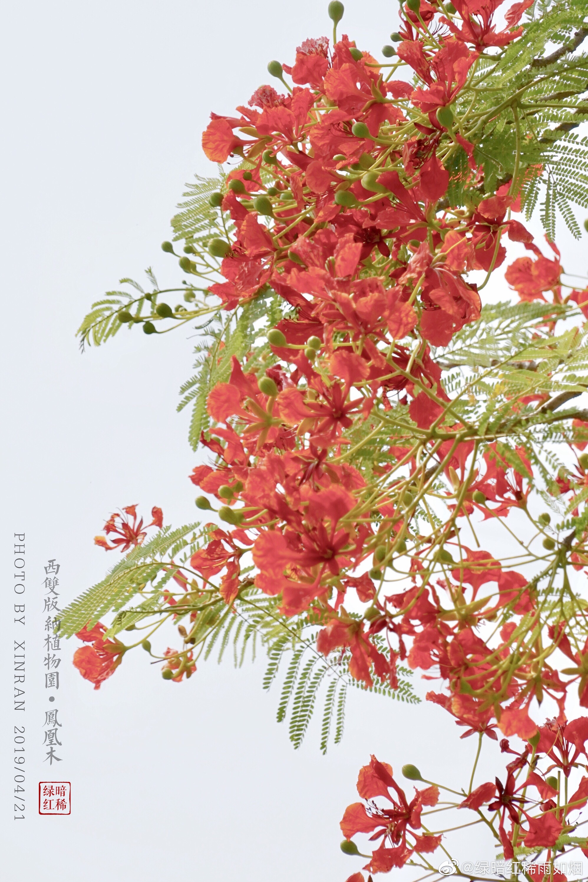 如你所见 是个咸鱼发的咸鱼贴 花灵 测试服 综合 Taptap 花灵 测试服 社区