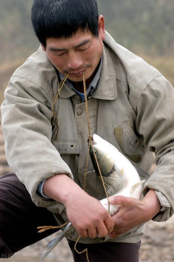 原神·考據~“鹹魚弓”與中國非遺傳承不可不說的淵源！ - 第6張