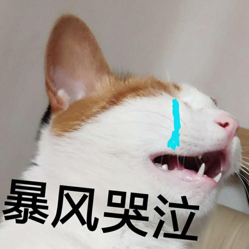 又是一件金装!