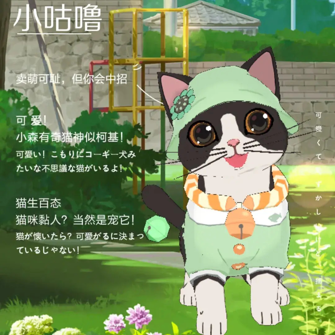 森村猫咪幼儿园迎新啦~