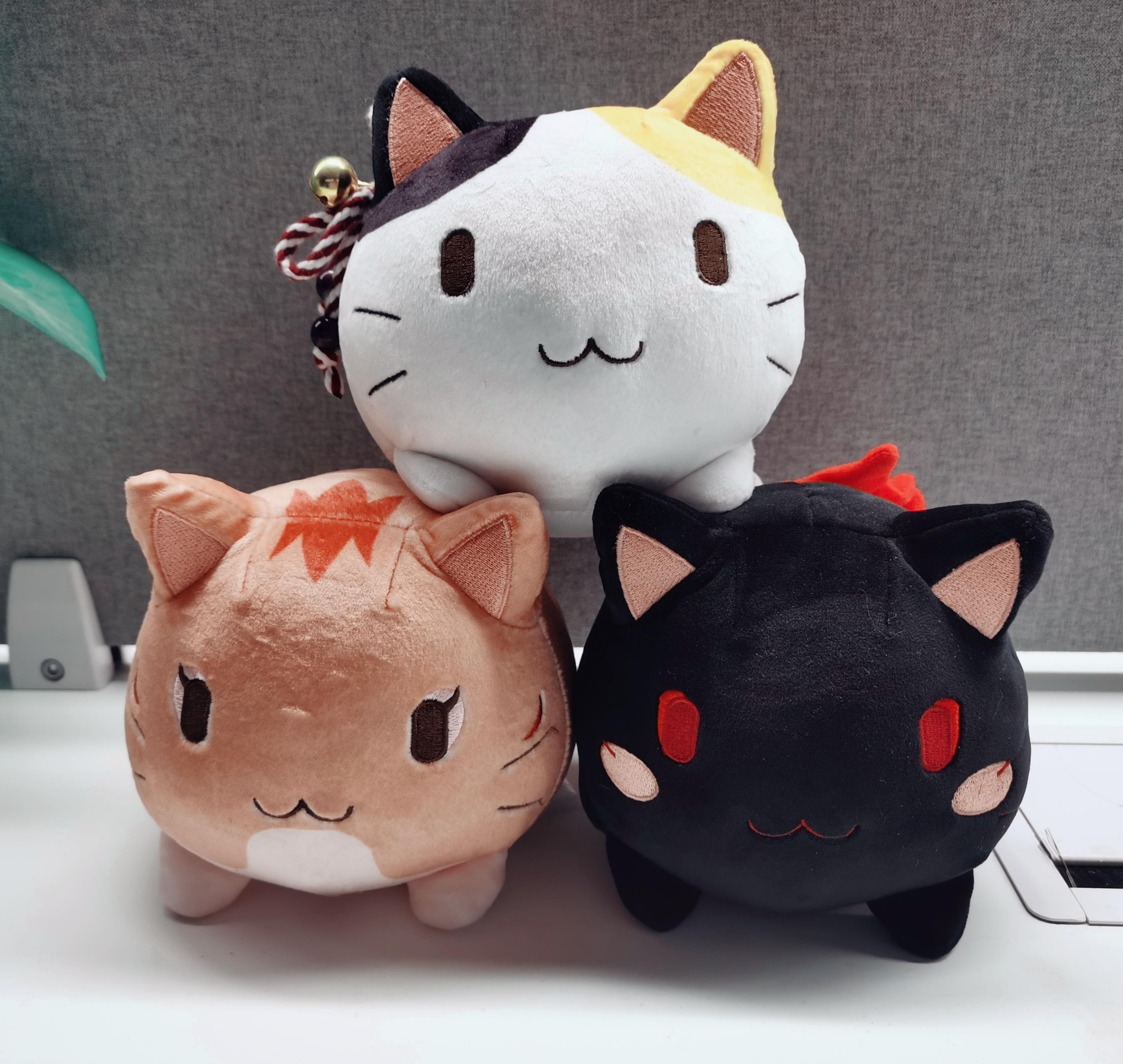 《猫灵相册》Q群活动正式开启！