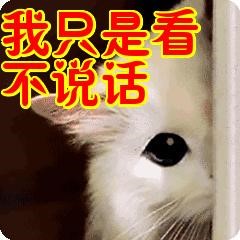 研發日誌 | 風起三國顏值提升計劃，Get✔|亂世逐鹿 - 第2張