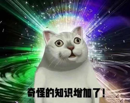奇怪的bug又双叒叕增加了