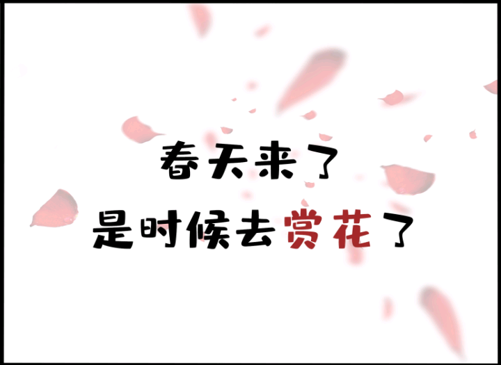 【原创条漫】火影小剧场-赏樱花