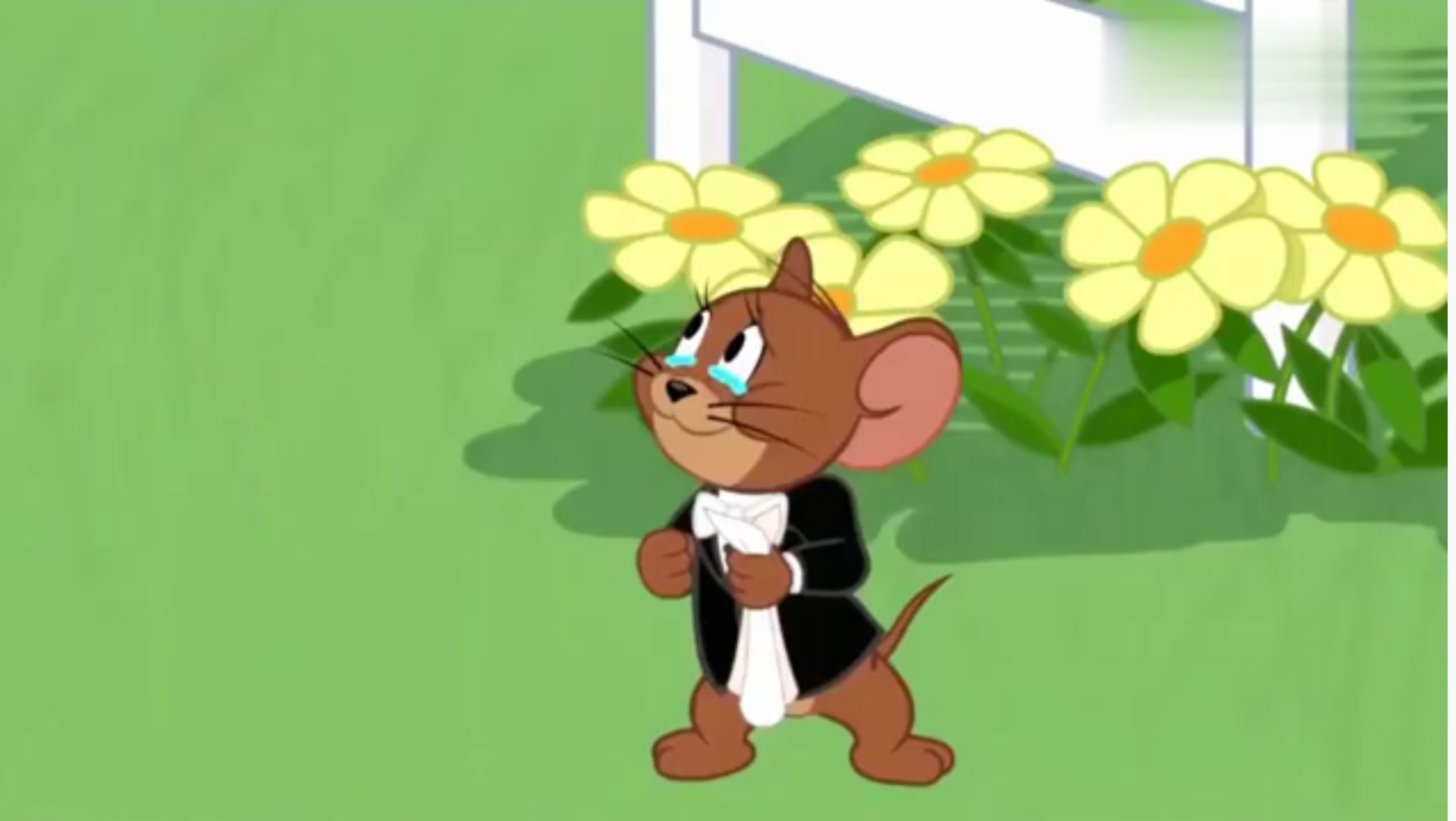 我觉得新母猫可以再增加一丶攻击力 | taptap 猫和老鼠:欢乐互动社区