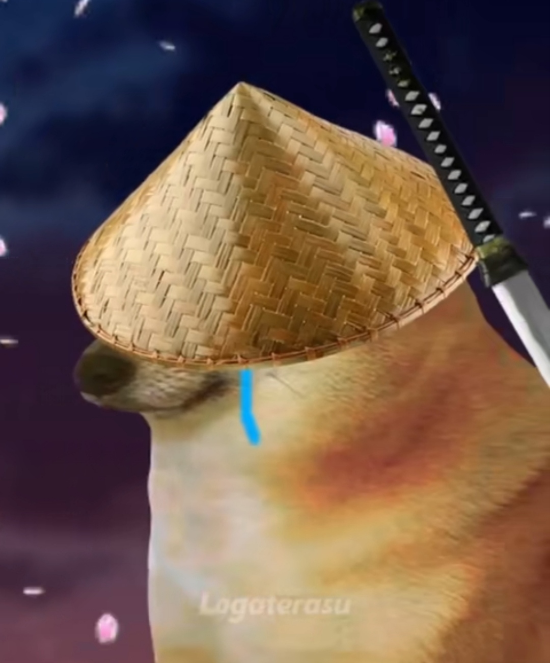 我不想做lsp了
