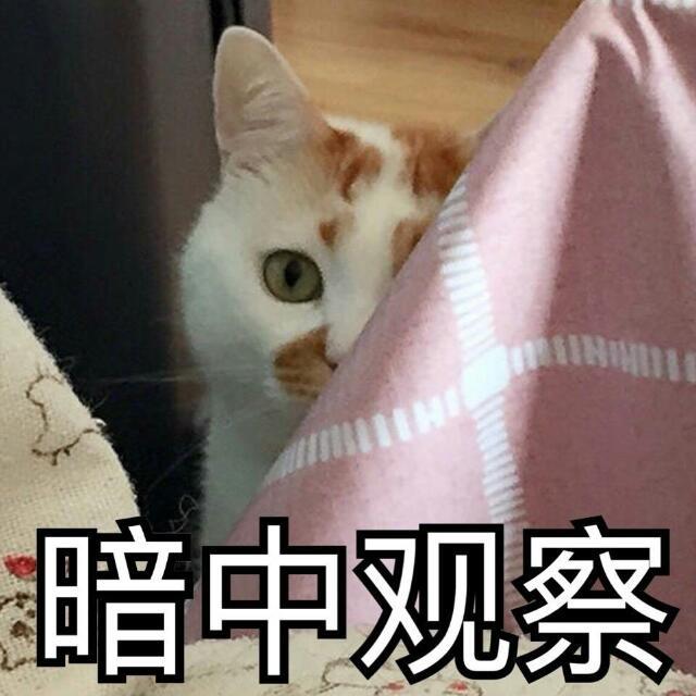 新将爆料第三弹！碎纸藏玄机，妙手拼武将~