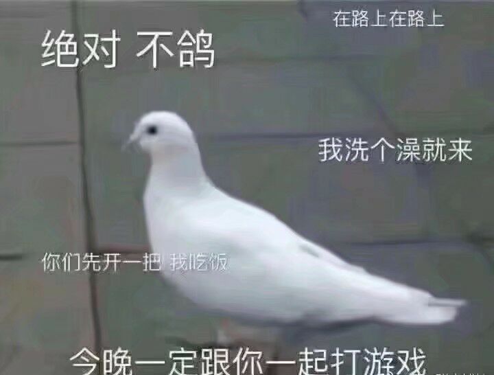 【修仙式人生】鸽了吗？真的没有！