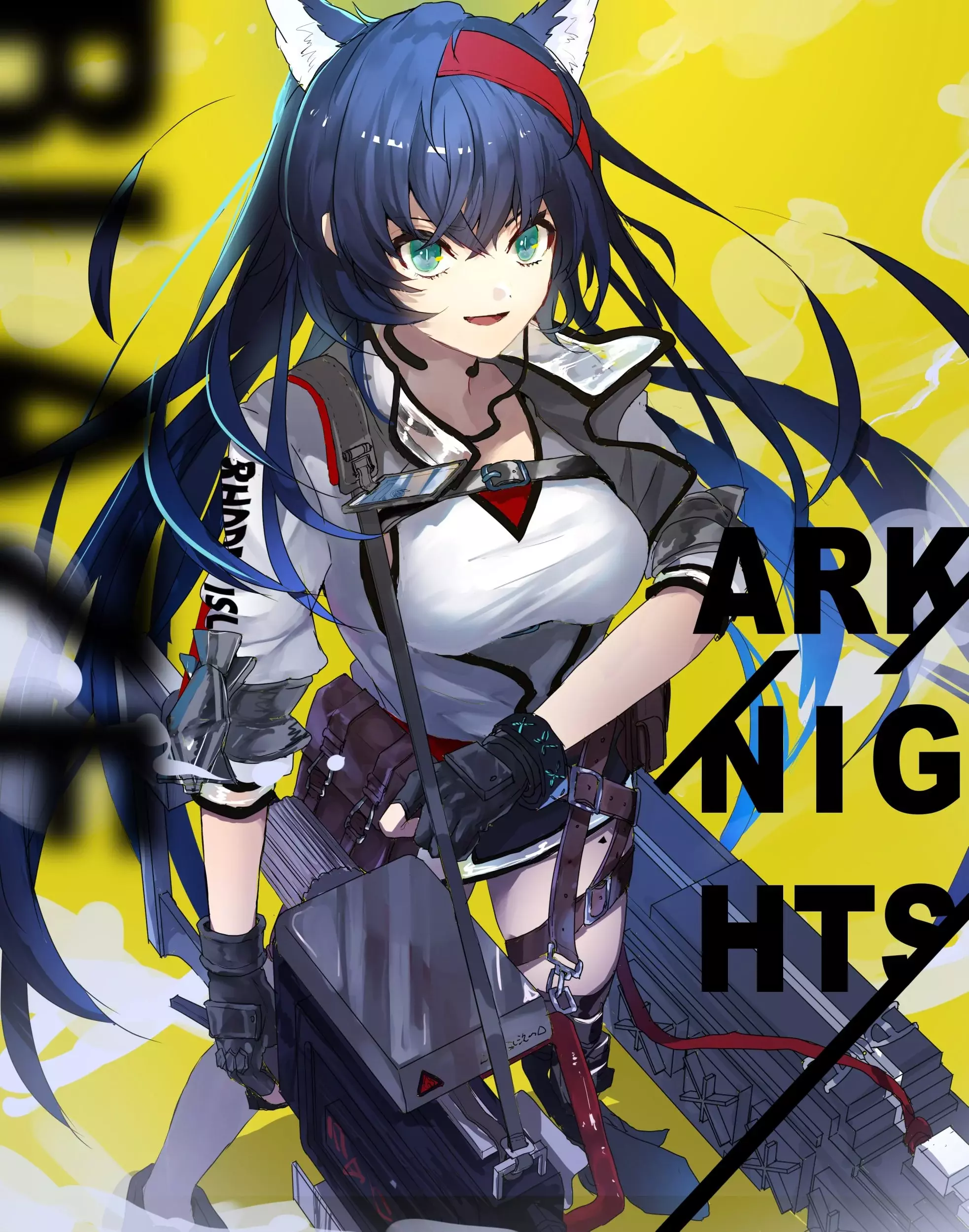 日常表白煌猫猫