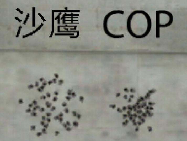 大神評測：COP 357-雷霆評測，這波是雷神的兄弟來了|穿越火線-槍戰王者 - 第6張