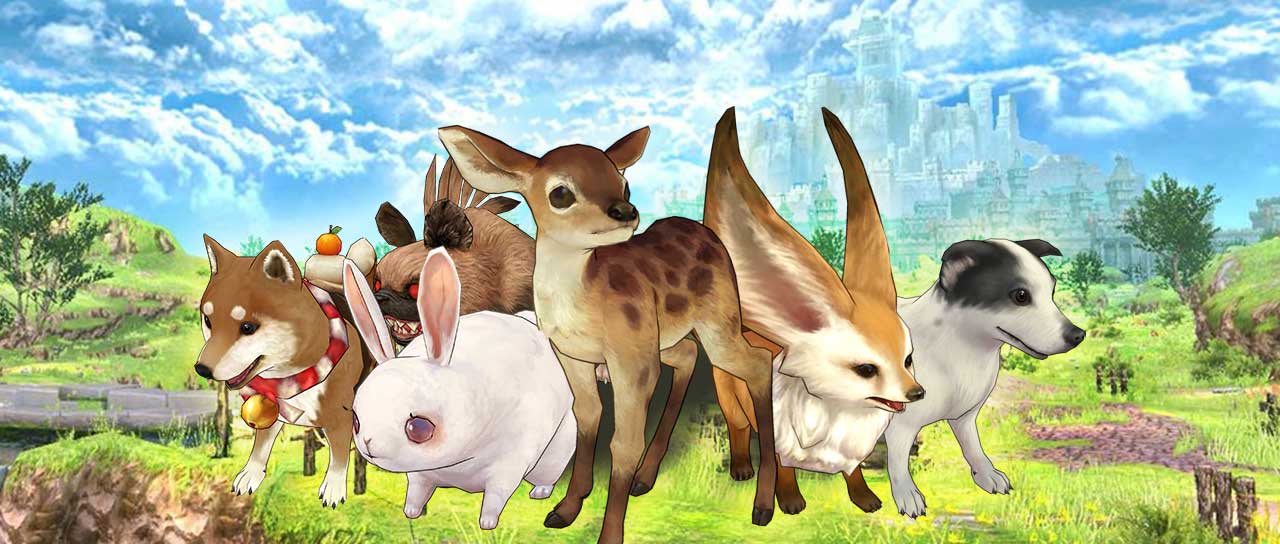 物种起源|小型四足兽第二期:宠物幻兽天团登场,是可爱本爱没错了!