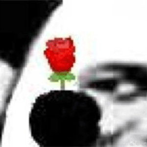 《乱世英雄》taptap论坛版规