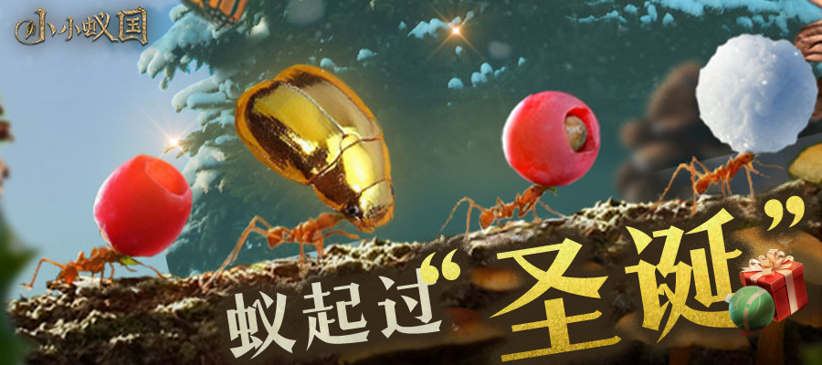 （已开奖）【福利活动】蚁起过圣诞，晒蚂蚁状态赢京东卡节日福利！|小小蚁国 - 第1张