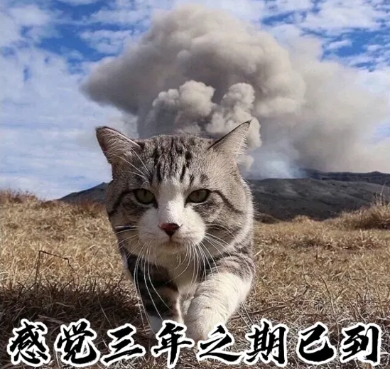 【瓜盟预测】大航版本前夕，阿斯加德EF联军进攻压力增大